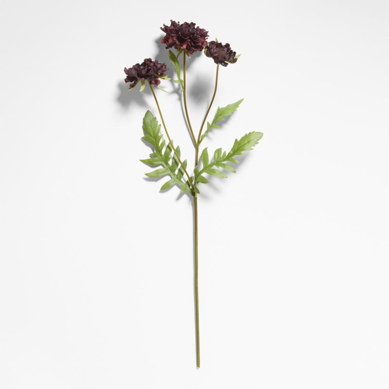 Faux Burgundy Scabiosa Stem | Crate & Barrel | Crate & Barrel