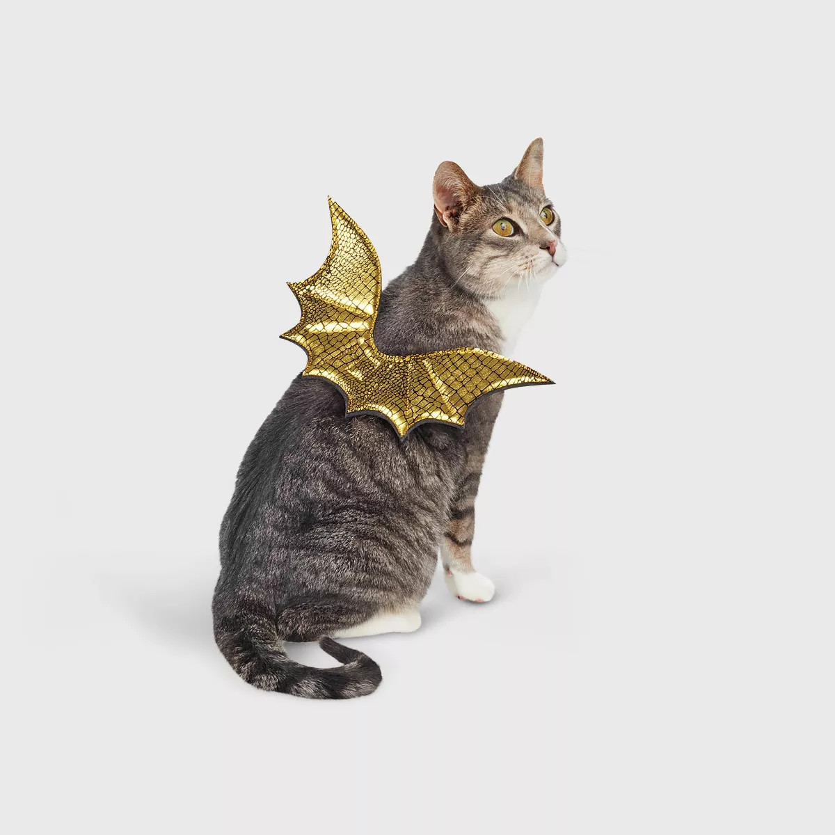 Halloween Gold Wings Cat Costume - Hyde and EEK! Boutique™ One Size Fits Most | Target