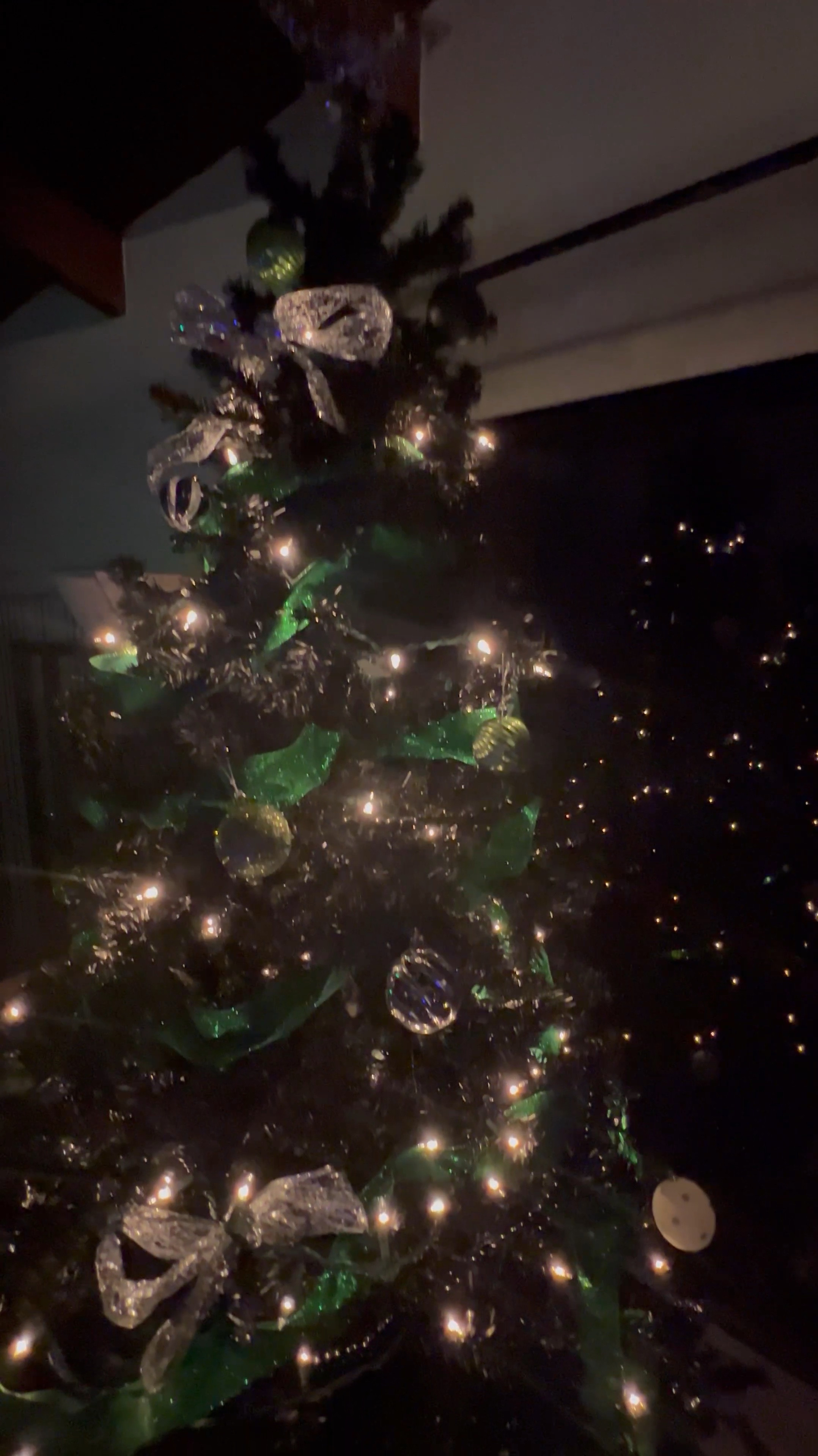 Black Christmas tree decorations 
Green
Silver 
Black color story 
Amazon finds
Ornaments
Christmas tree 
Christmas lights
Tree topperrs

#LTKHome #LTKSeasonal #LTKHoliday