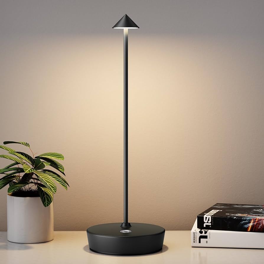 Rechargeable Cordless Table Lamp, Portable Powered LED Battery 6000mAh Metal USB Desk Lamp, 3 Lev... | Amazon (US)