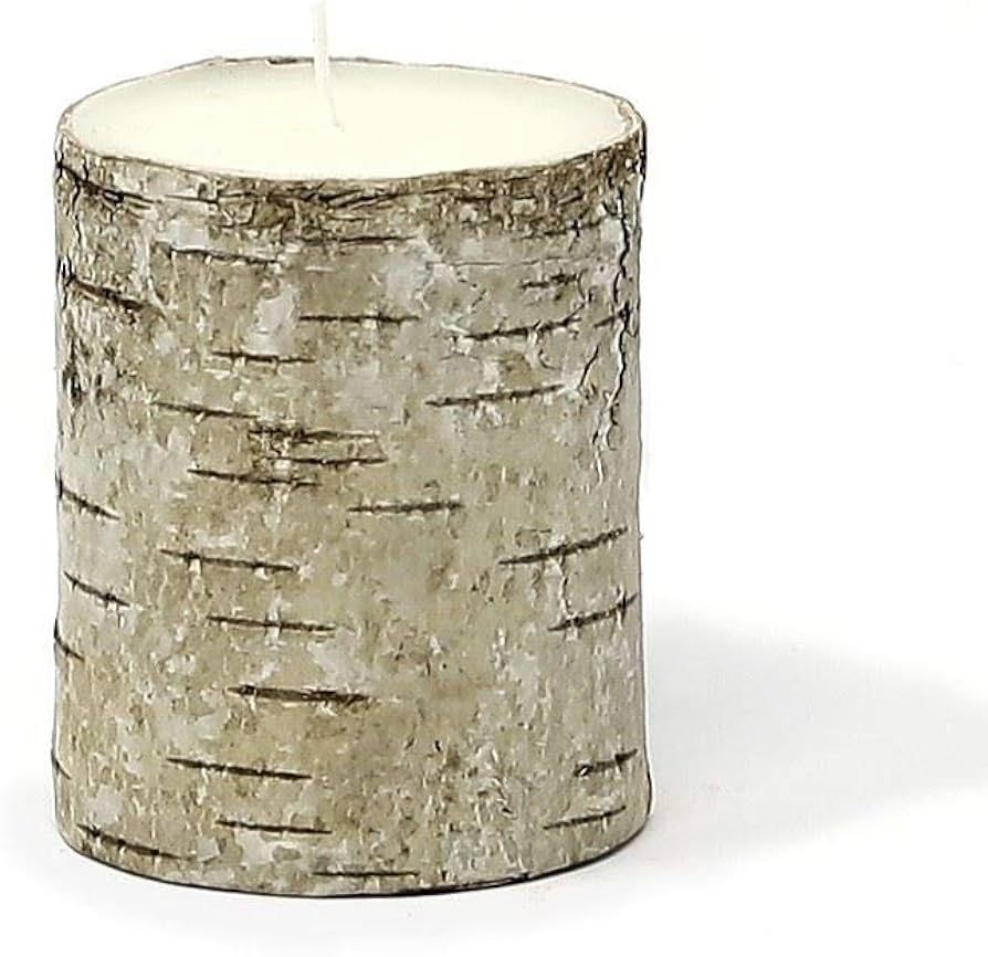 Serene Spaces Living Birch Bark Candle, Small Size – Pillar Style Candle Brings Nature Indoors,... | Amazon (US)