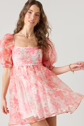 Claudia Floral Organza Babydoll Dress | Francesca's