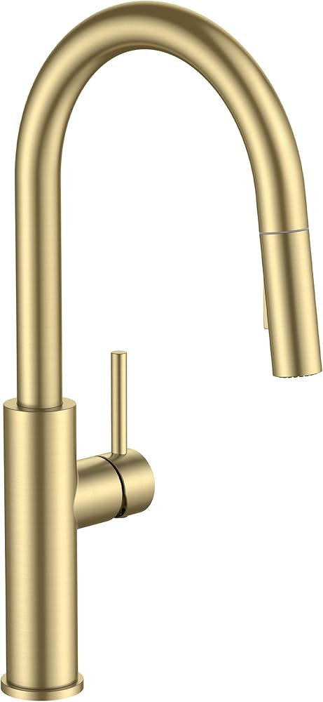 FORIOUS Kitchen Faucet with Pull Down Sprayer, Classic Brushed Gold, Single Handle High Arc Stain... | Amazon (US)