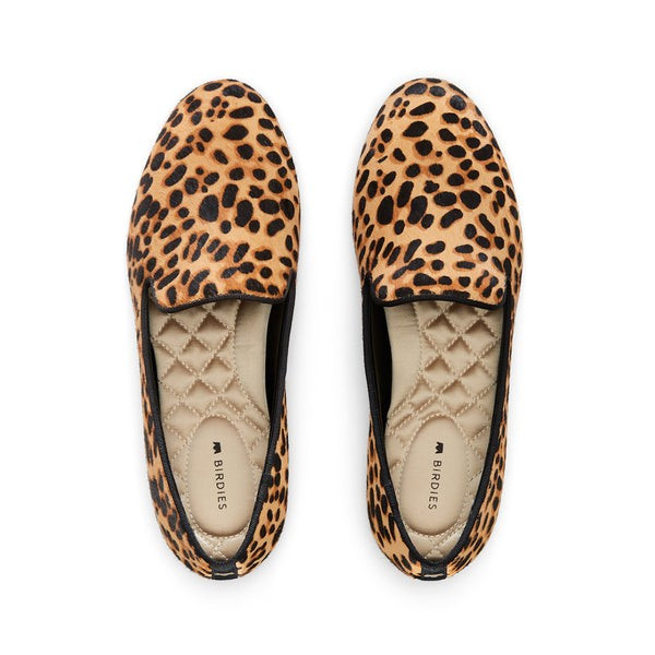 the starling | BIRDIES