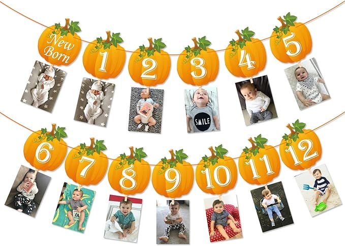 Pumpkin 1st Birthday Photo Banner Newborn to 12 Month Display Milestone Pumpkin Theme First Year ... | Amazon (US)