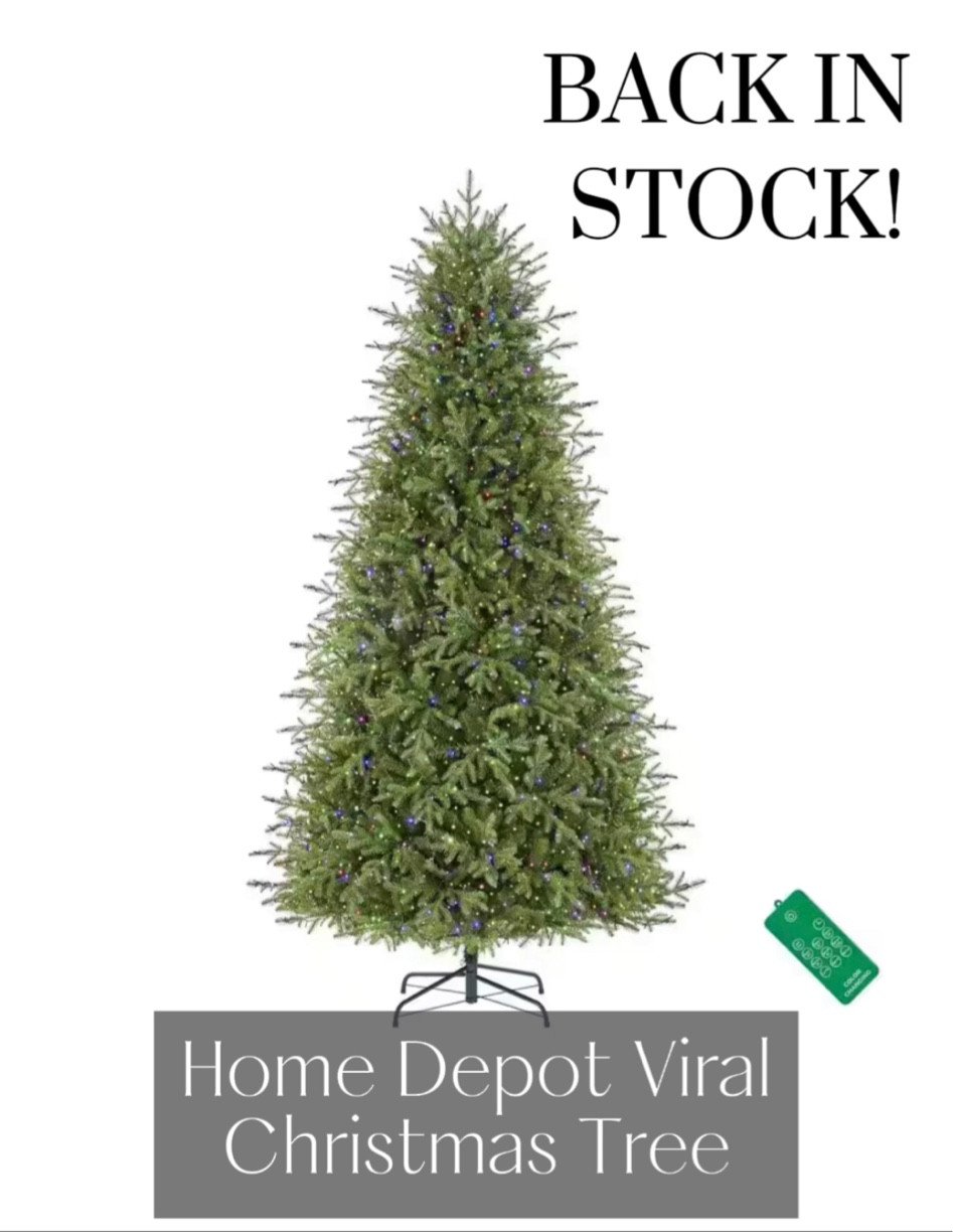 Home Depot Viral Christmas Tree is back in stock! 

9 ft. Pre-Lit LED Grand Duchess Balsam Fir Artificial Christmas Tree

#LTKHoliday #LTKhome #LTKSeasonal