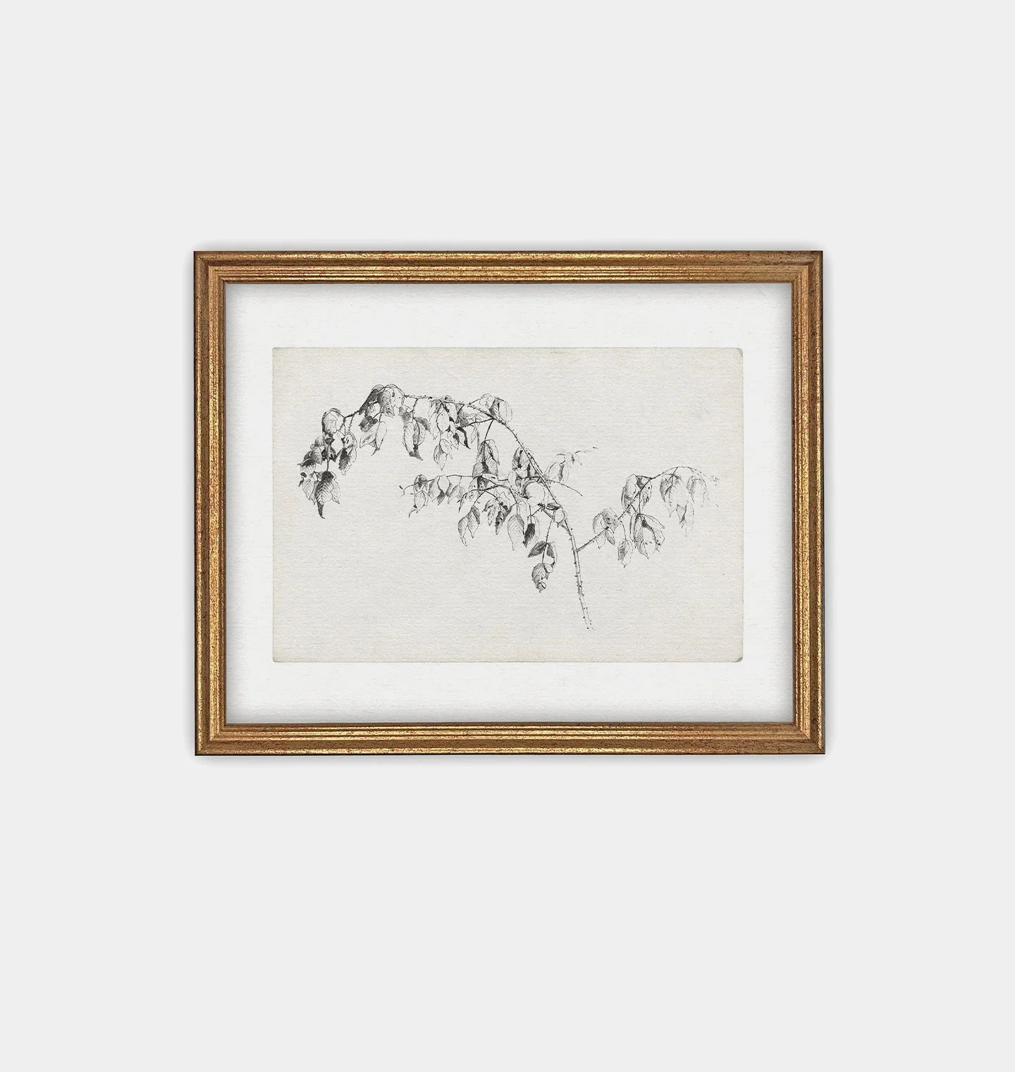 Blackberry Sketch Framed Print | Shoppe Amber Interiors | Amber Interiors