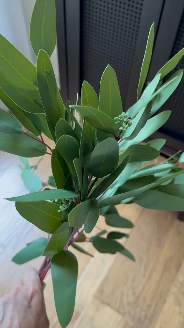 the best faux stems from amazon!

#LTKHome #LTKVideo #LTKStyleTip