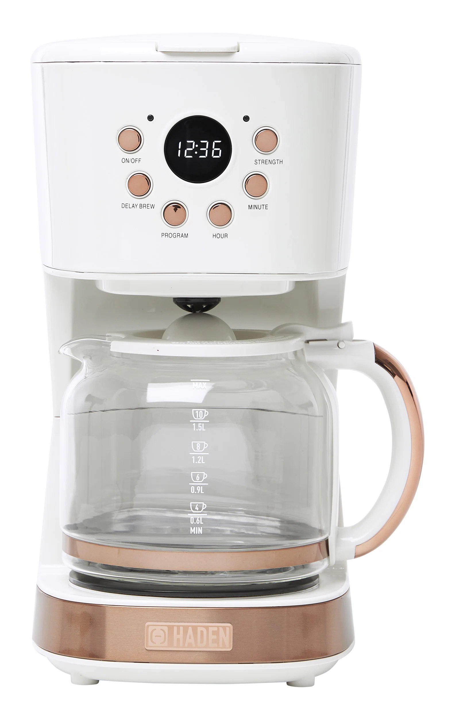 HADEN Modern 12-Cup Programmable Coffee Maker With Strength Controls | Wayfair North America