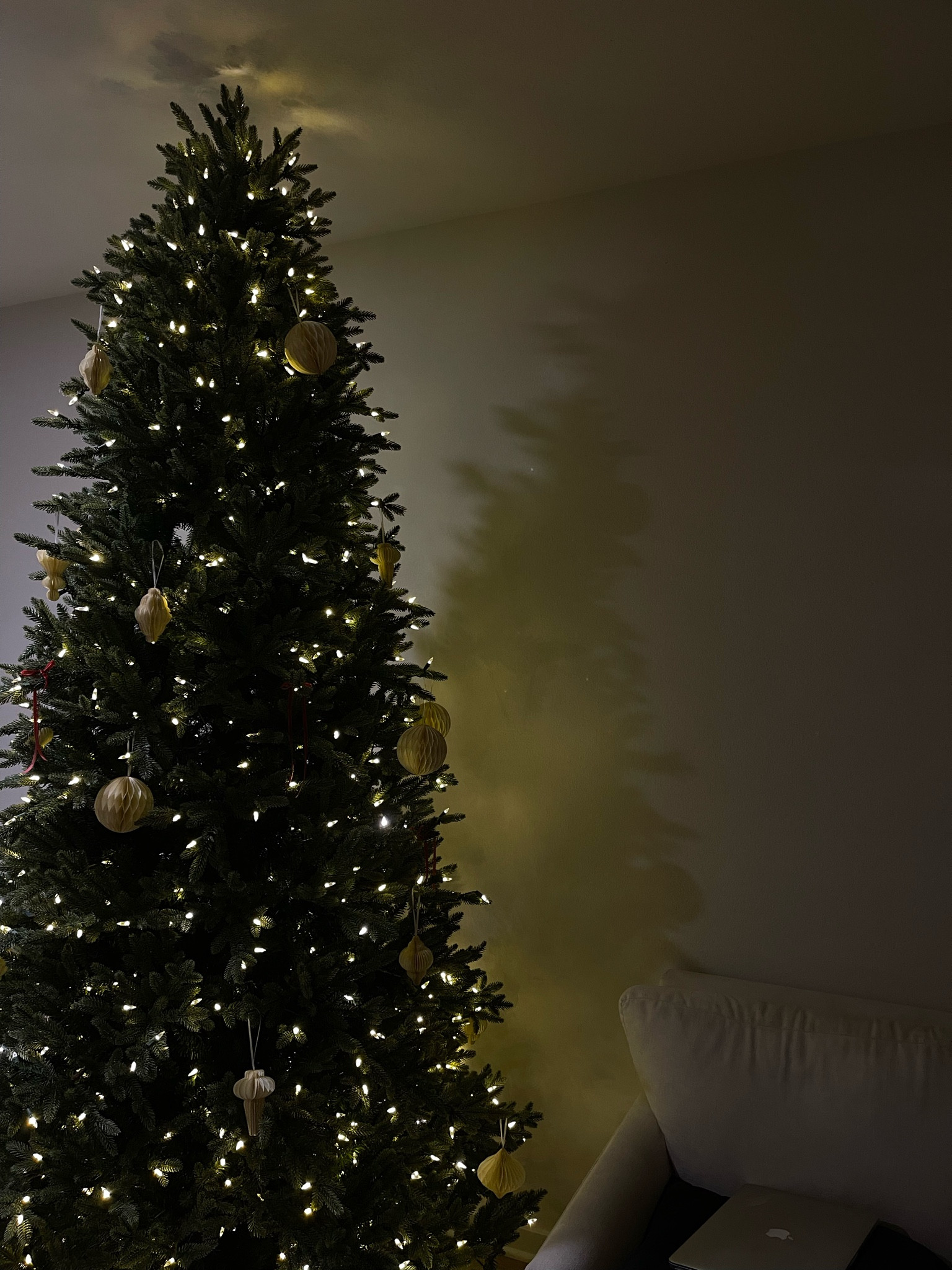 the most perfect christmas tree! 

#LTKhome #LTKSeasonal #LTKHoliday