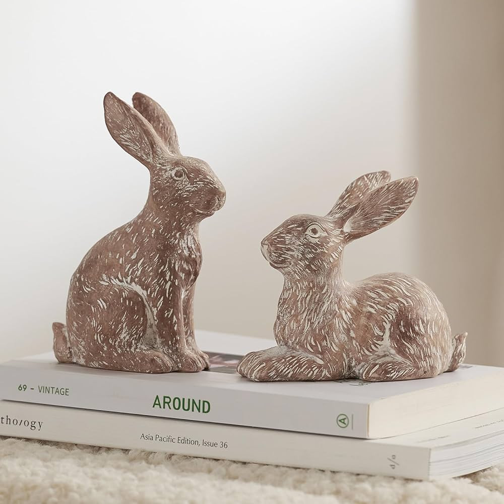 DN DECONATION Set of 2 Brown Resin Bunny Figurines, Easter Ornaments for Spring Home Decor | Amazon (CA)
