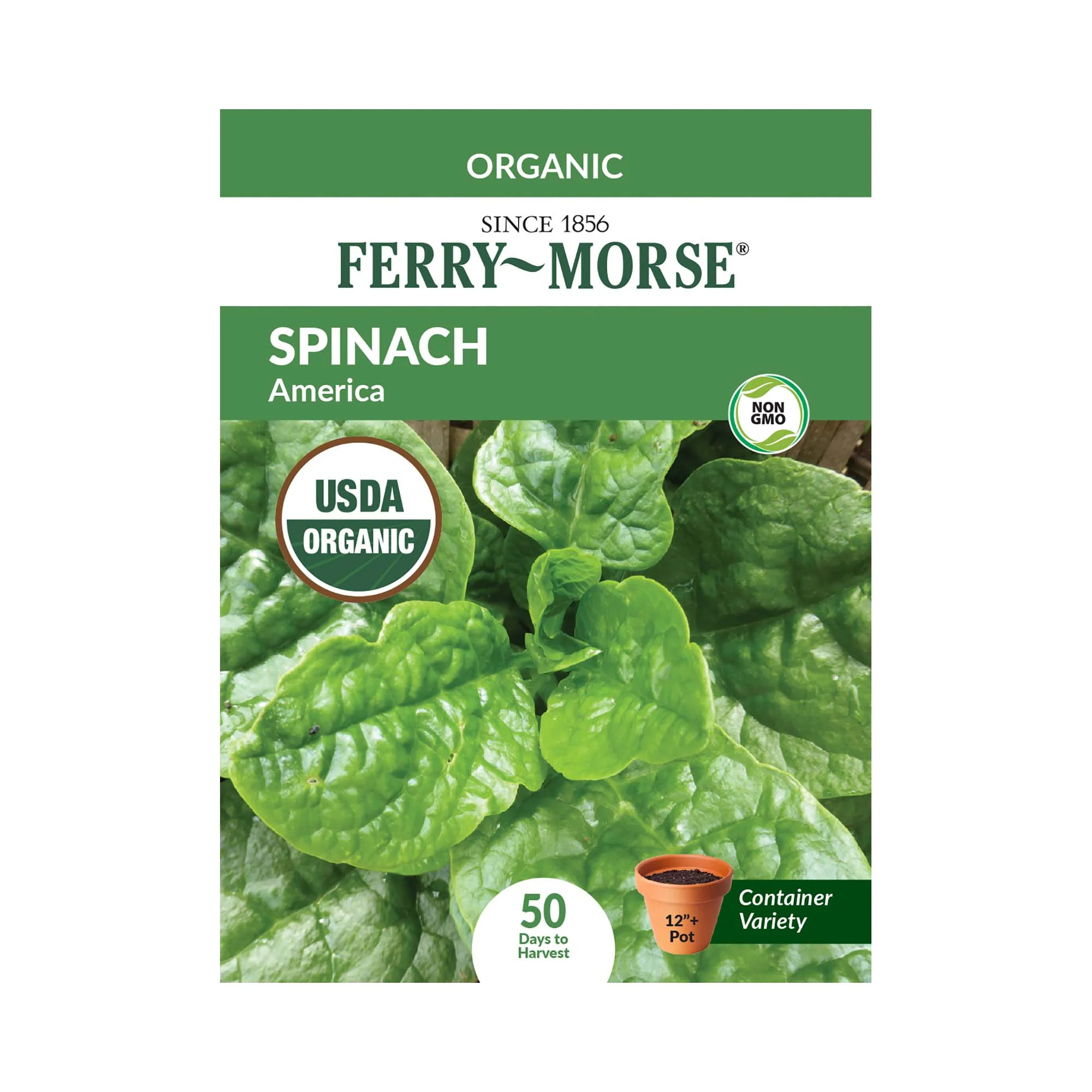 Ferry-Morse 1.8G Organic Spinach America Annual Vegetable Seeds, Full Sun | Walmart (US)