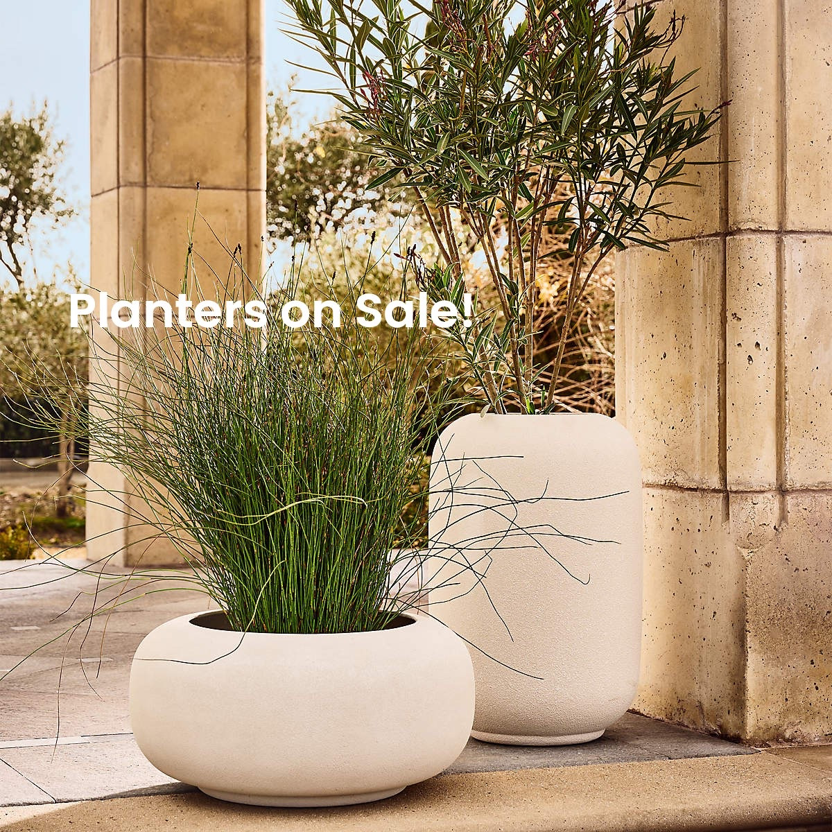 Love the shape of these planters @cb2 @Crate & Barrel

#LTKSeasonal #LTKHome #LTKSaleAlert