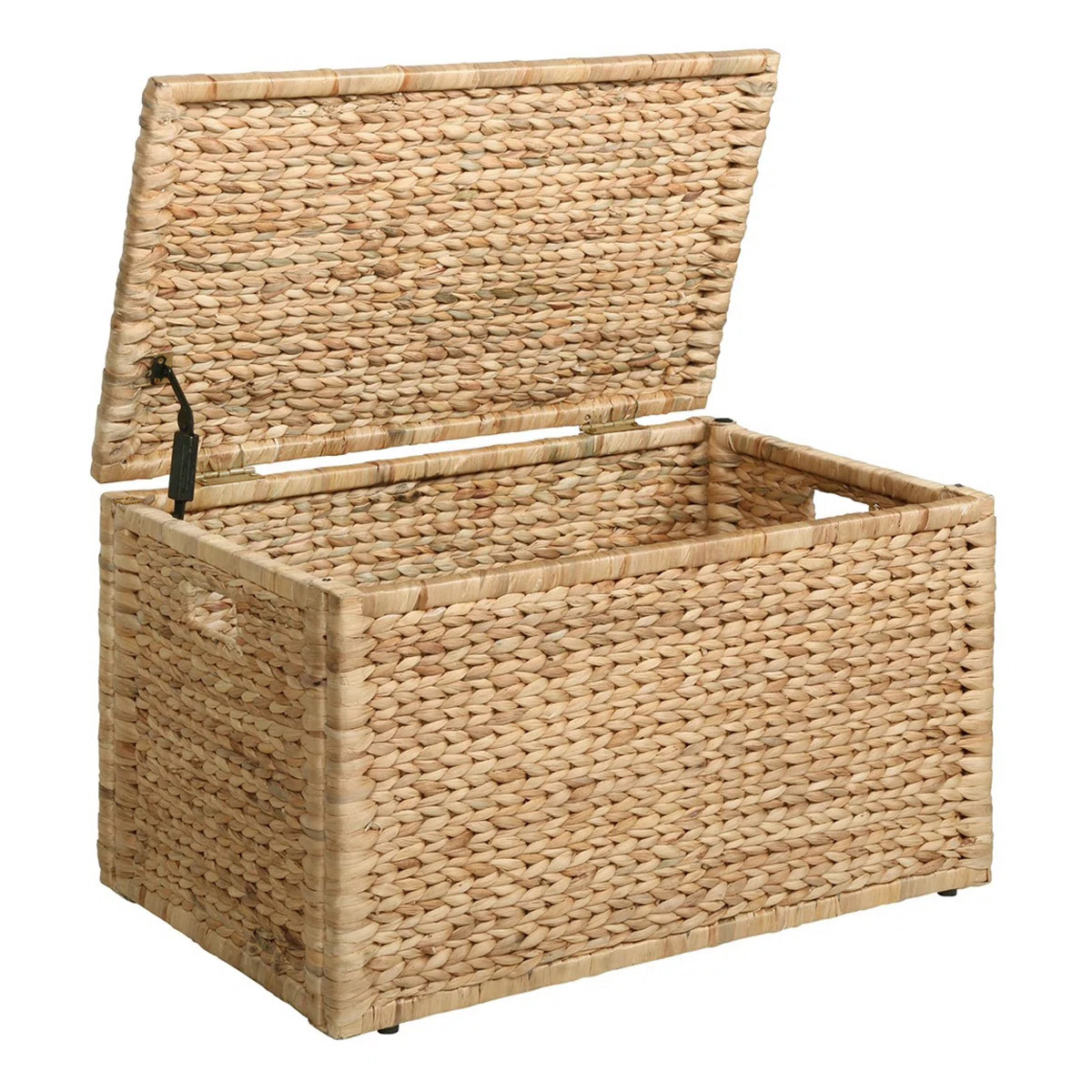 Ved Heavy-duty Water Hyacinth Wicker Storage Trunk with Metal Frame | Wayfair North America