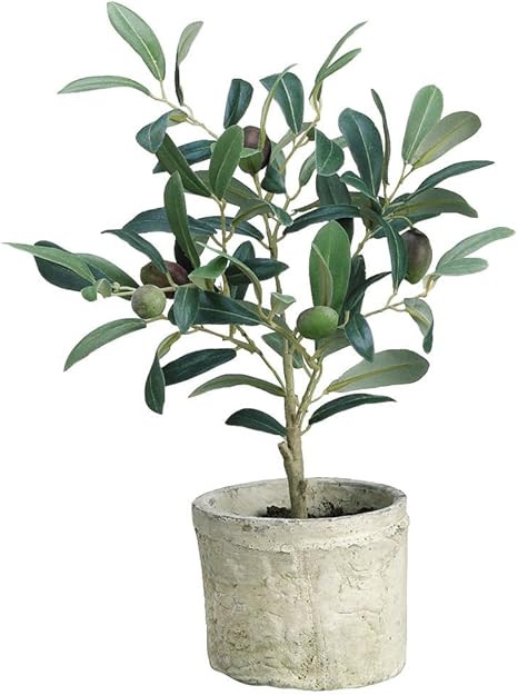 Green Plastic Potted Olive Tree - 12"H | Amazon (US)