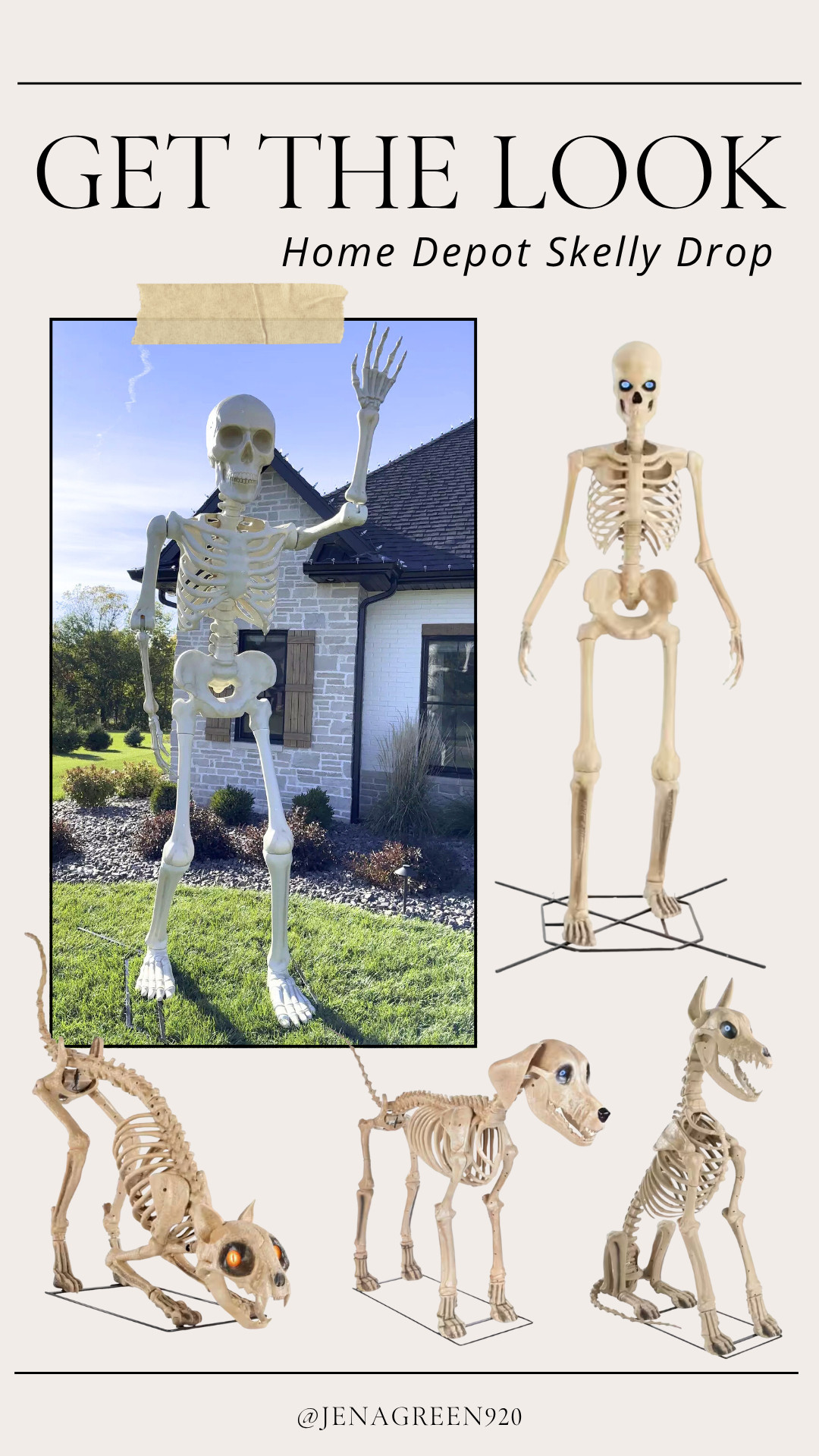 Home Depot Skelly | Giant Skelly | Giant Skeleton | Skelly Dogs | Skelly Cat | Home Depot Halloween 

 

#LTKSeasonal #LTKHome