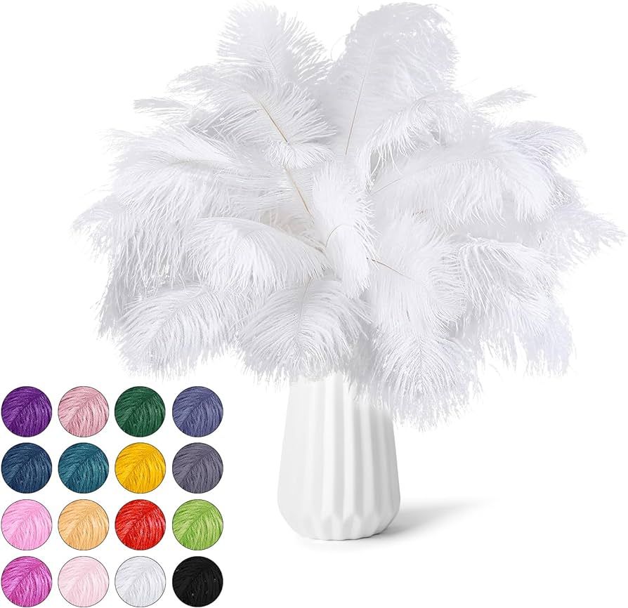NEWONG 30pcs White Ostrich Feathers Natural Bulk 9-12inch(23-30cm) Vase Craft Wedding Home Party ... | Amazon (US)