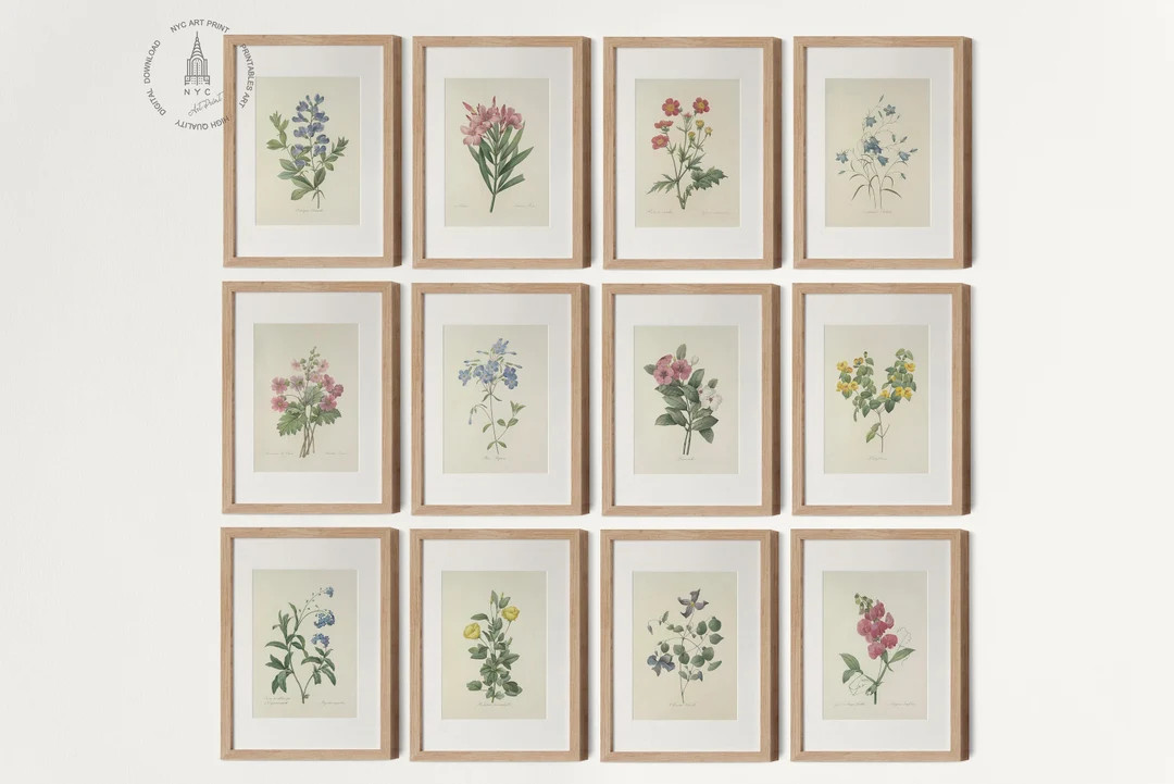 Vintage Botanical Gallery Wall Set of 12, Botanical Prints, Vintage Floral Prints, French Country... | Etsy (US)