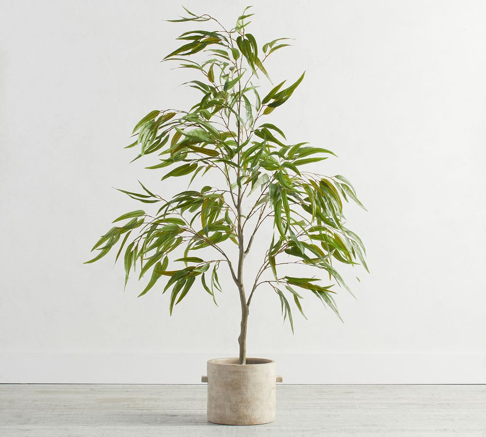 Faux Potted Eucalyptus Tree | Pottery Barn (US)