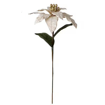 Holiday Living HL CREAM POINSETTIA PICK | Lowe's