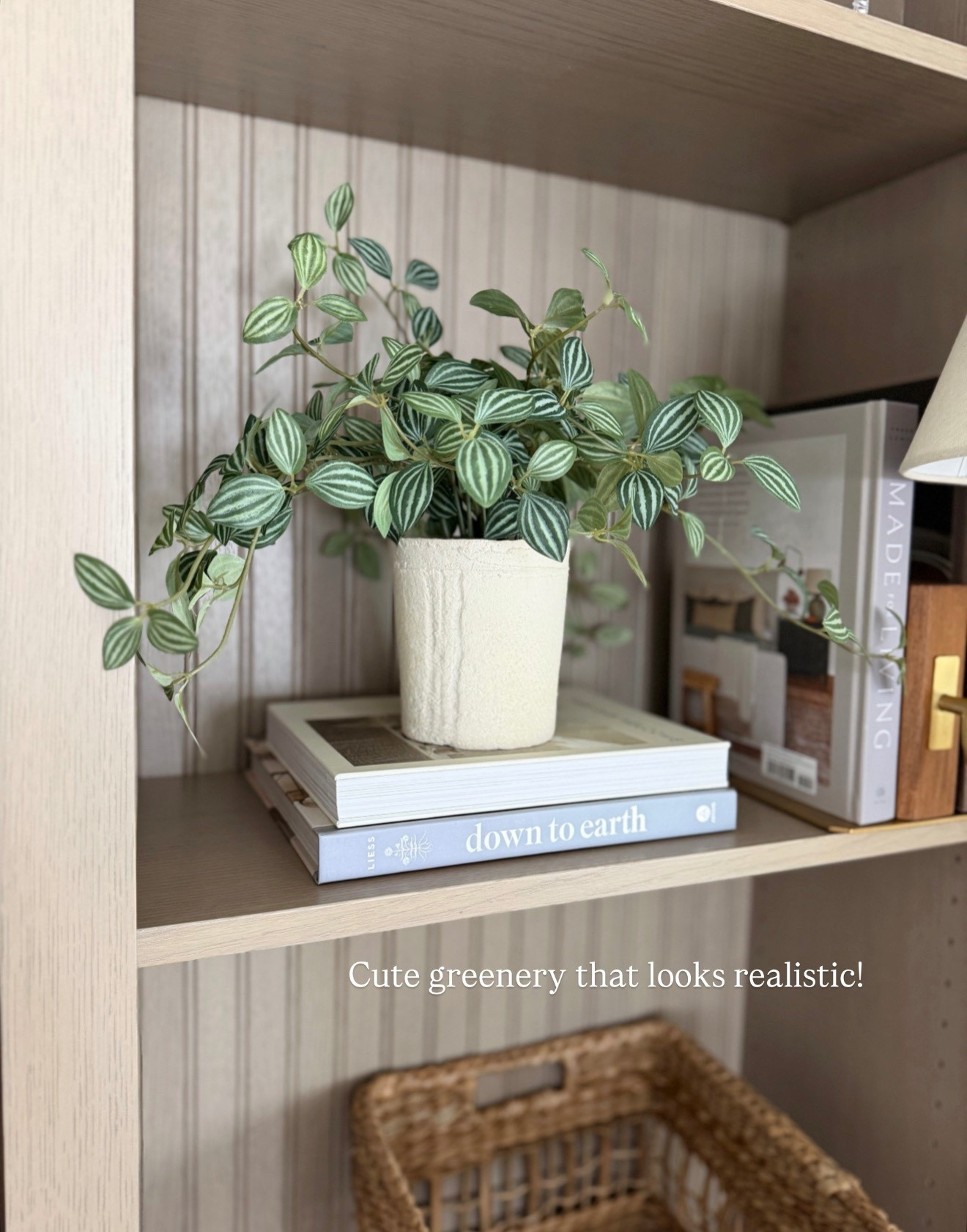 Realistic greenery 😍

#LTKHome #LTKFindsUnder50