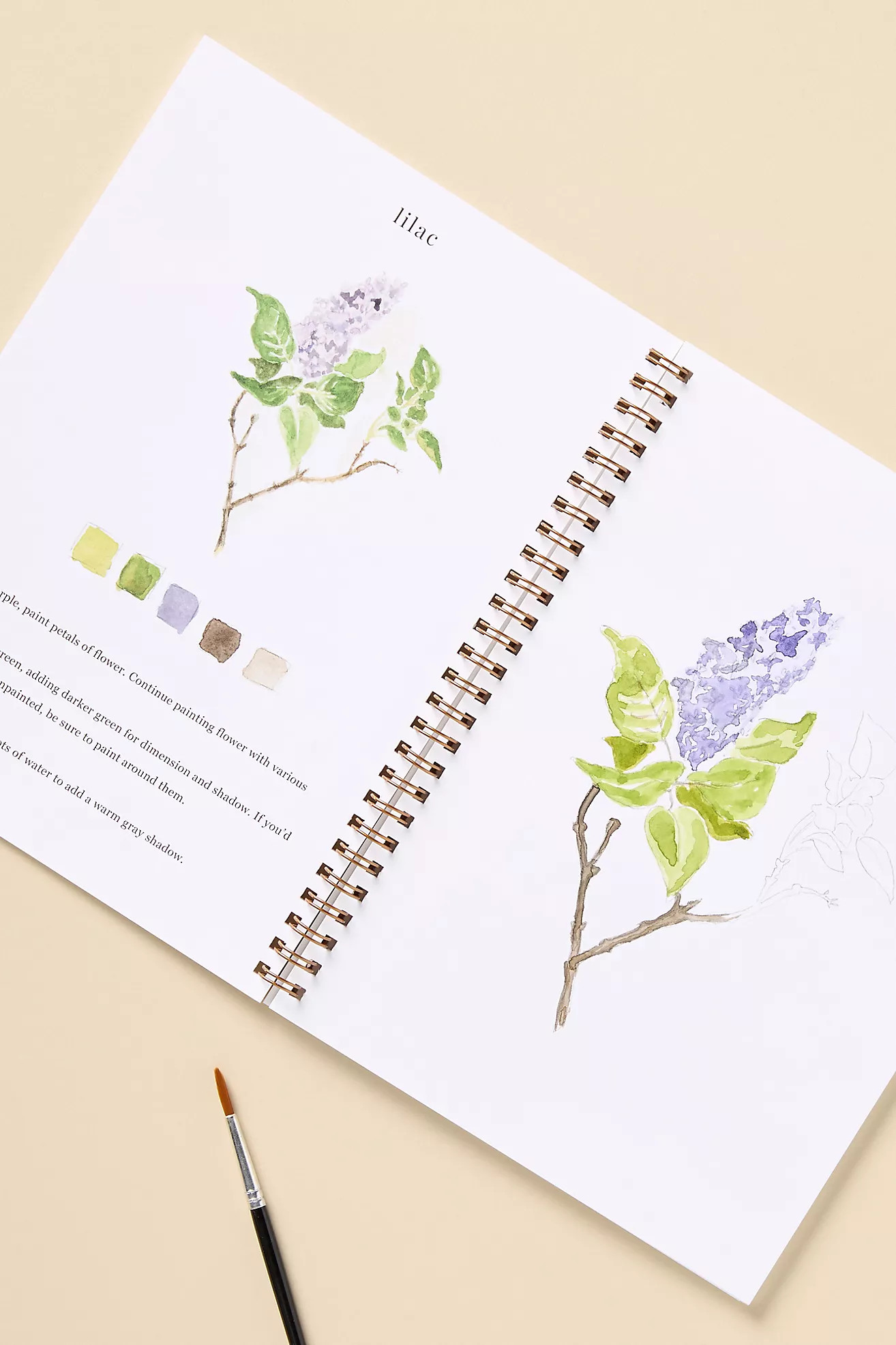 Emily Lex Studio Watercolor Workbook | Anthropologie (US)