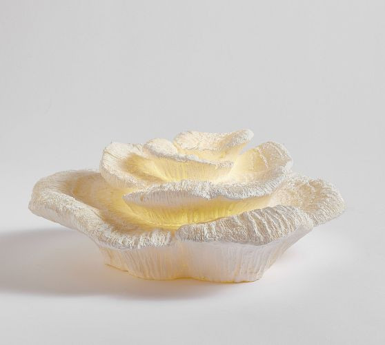 Lit Seashell | Pottery Barn (US)