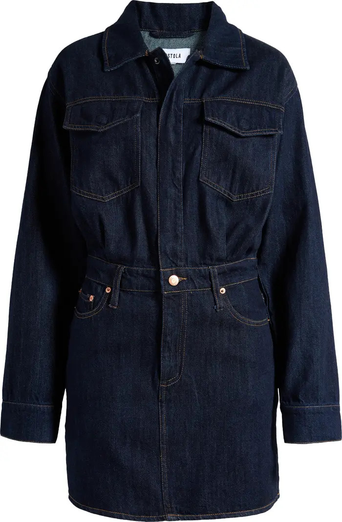 Nina Long Sleeve Denim Shirtdress | Nordstrom