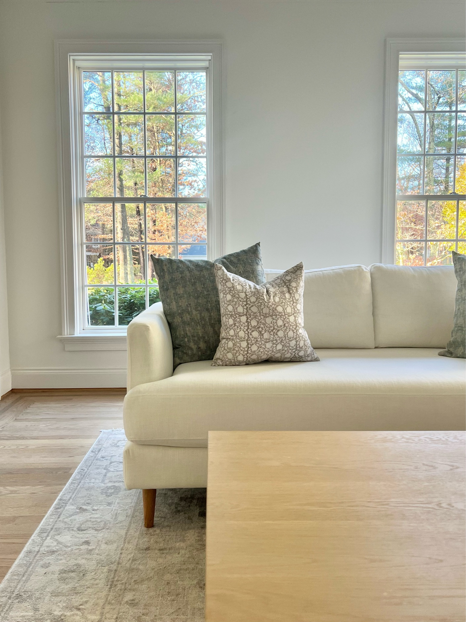 Feeling so grateful!

White sofa, bench cushion sofa, blue, taupe, white oak, dining table, rug, loloi, neutral, living room, family room, 

#LTKfindsunder100 #LTKhome #LTKHoliday