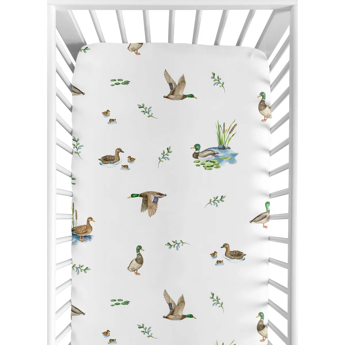 Sweet Jojo Designs | Wayfair North America