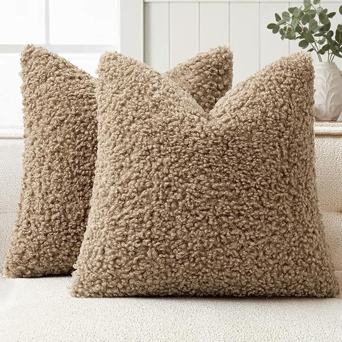 Woaboy Faux Fur Throw Pillow Covers 20x20 Inch Set of 2 Boucle Neutral Decorative Sherpa Fuzzy Ac... | Amazon (US)