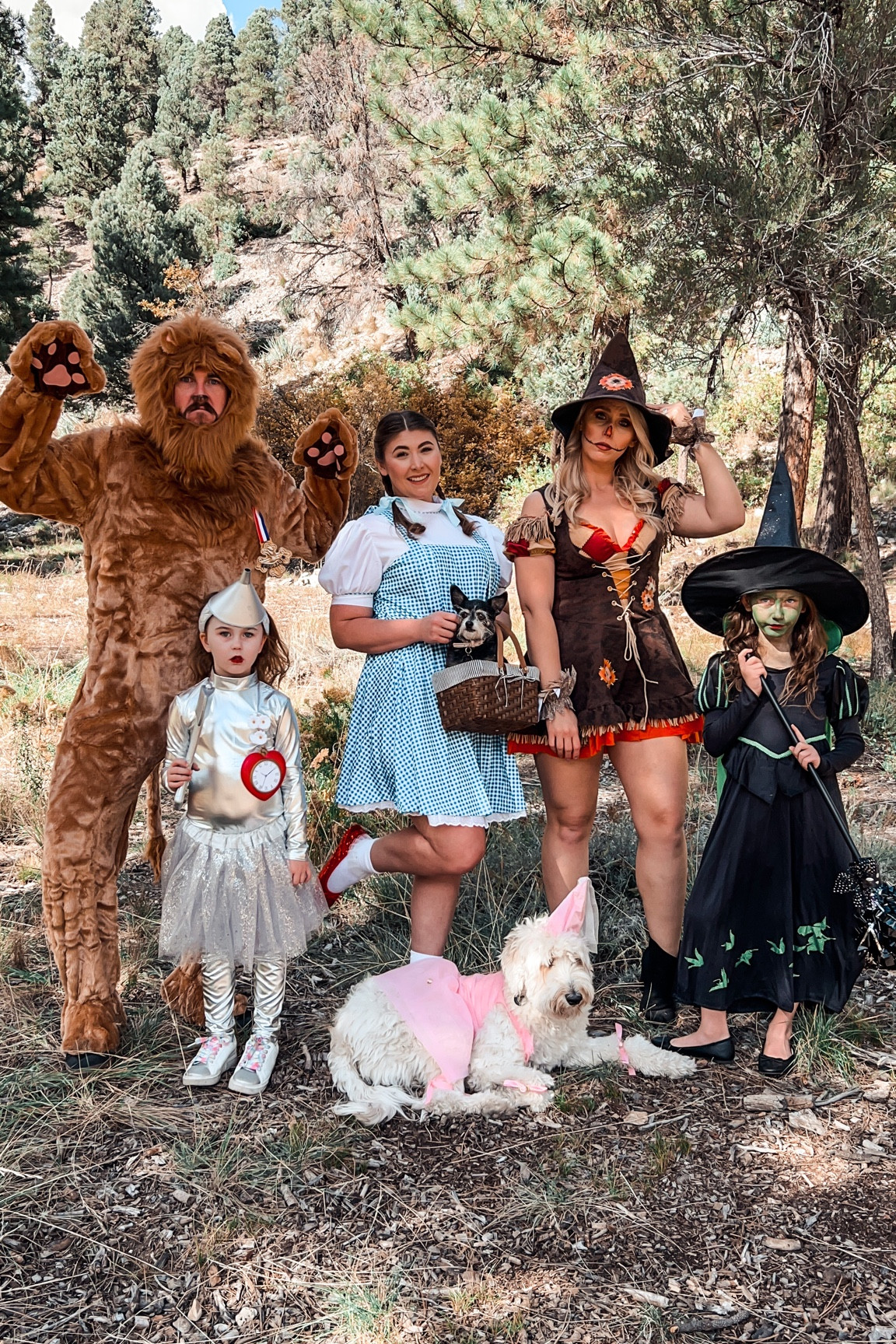 JMXO on LTK, image size:1181x1772