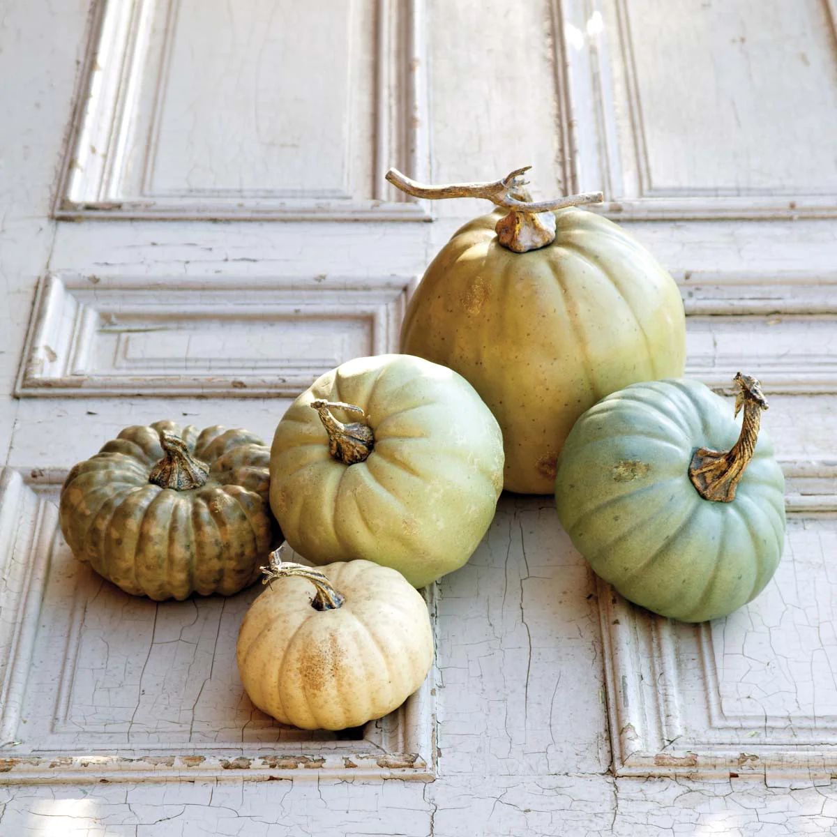 L'Automne Pumpkin Collection, Set of 5 Assorted Styles | The Nested Fig