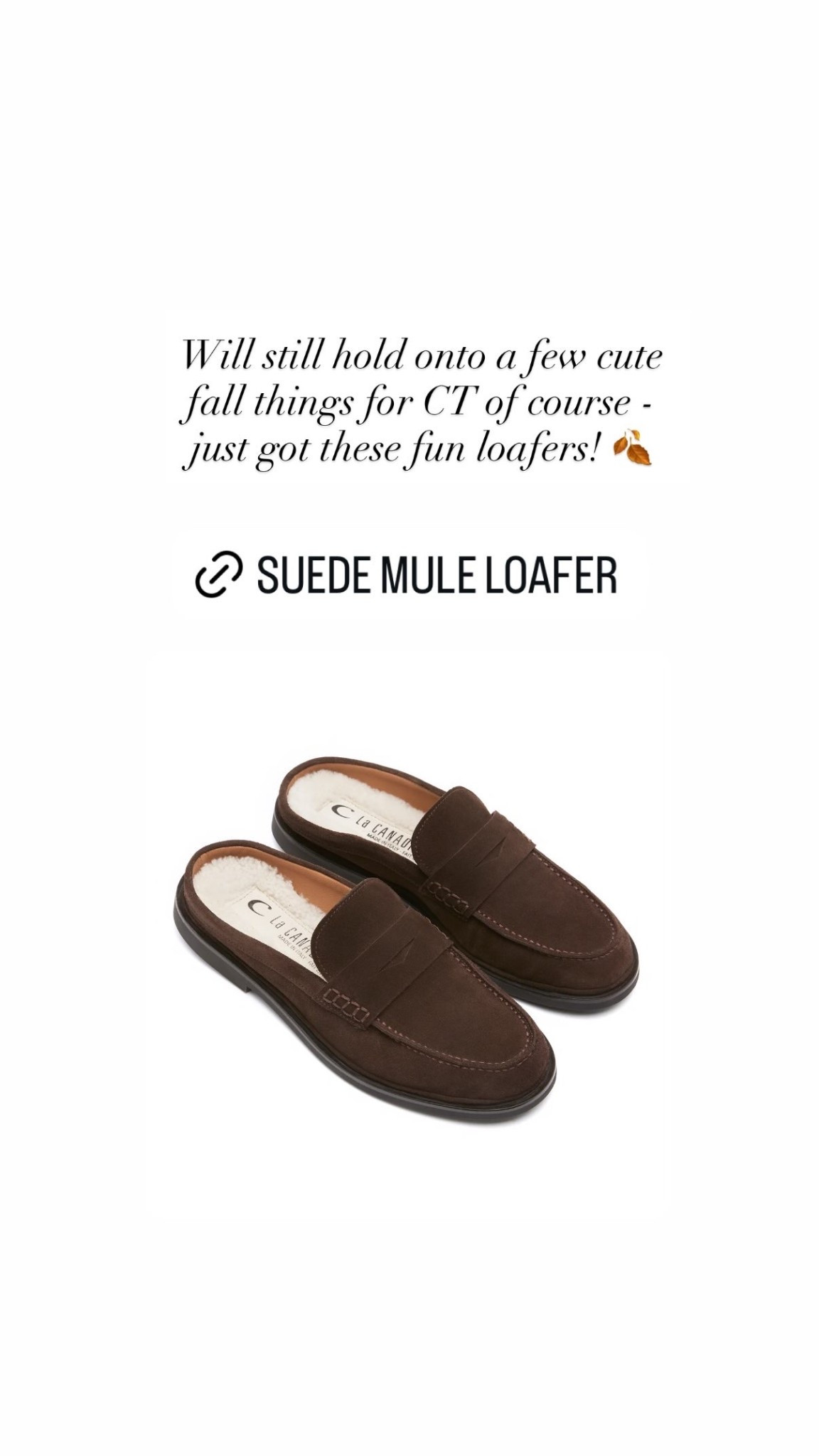 Fall loafers! These run small - size up!

#LTKSeasonal #LTKTravel #LTKWorkwear