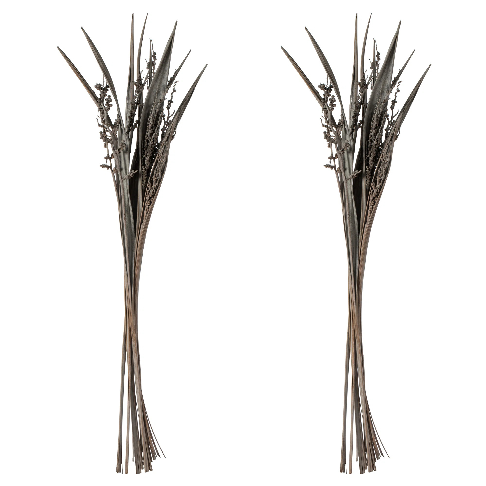 36" Bahia Spears with Seeds, Dried | Wayfair North America