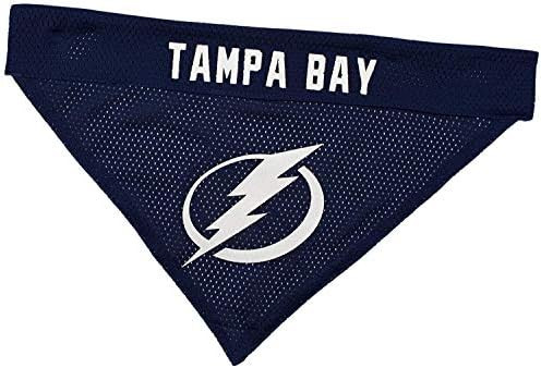 Amazon.com : NHL Tampa Bay Lightning Bandana for Dogs & Cats, Large/X-Large. - Cute & Stylish Ban... | Amazon (US)