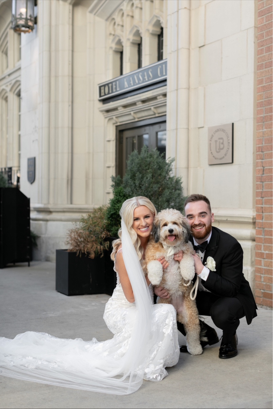 Wedding details for your puppy! 

#LTKwedding #LTKstyletip #LTKunder50