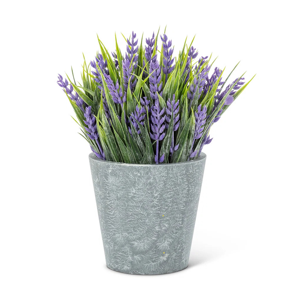 Primrue Lavender Arrangement in Pot | Wayfair | Wayfair North America