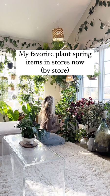 Spring is here!! Best planter / houseplant finds by store - #walmart #target #michaels 

#LTKSeasonal #LTKSpringSale