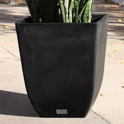 Pure Series Plastic Pot Planter Veradek Color: Black, Size: 22" H x 19.5" W x 19.5" D | Wayfair North America