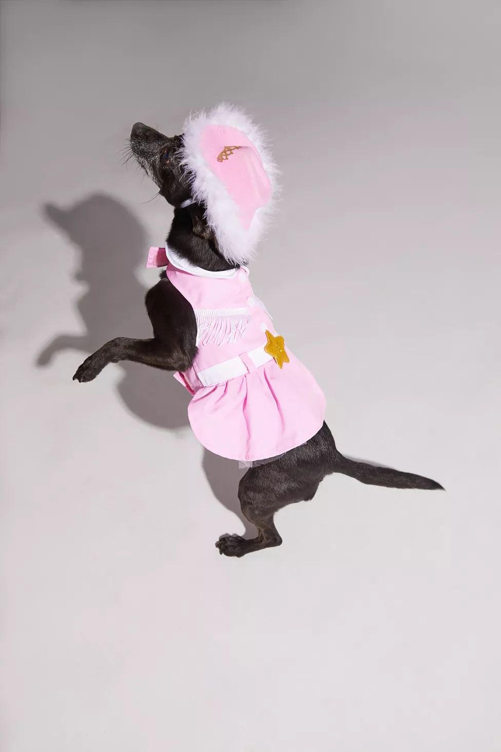 Doggy Parton Cowgirl Pet Costume | Urban Outfitters (US and RoW)