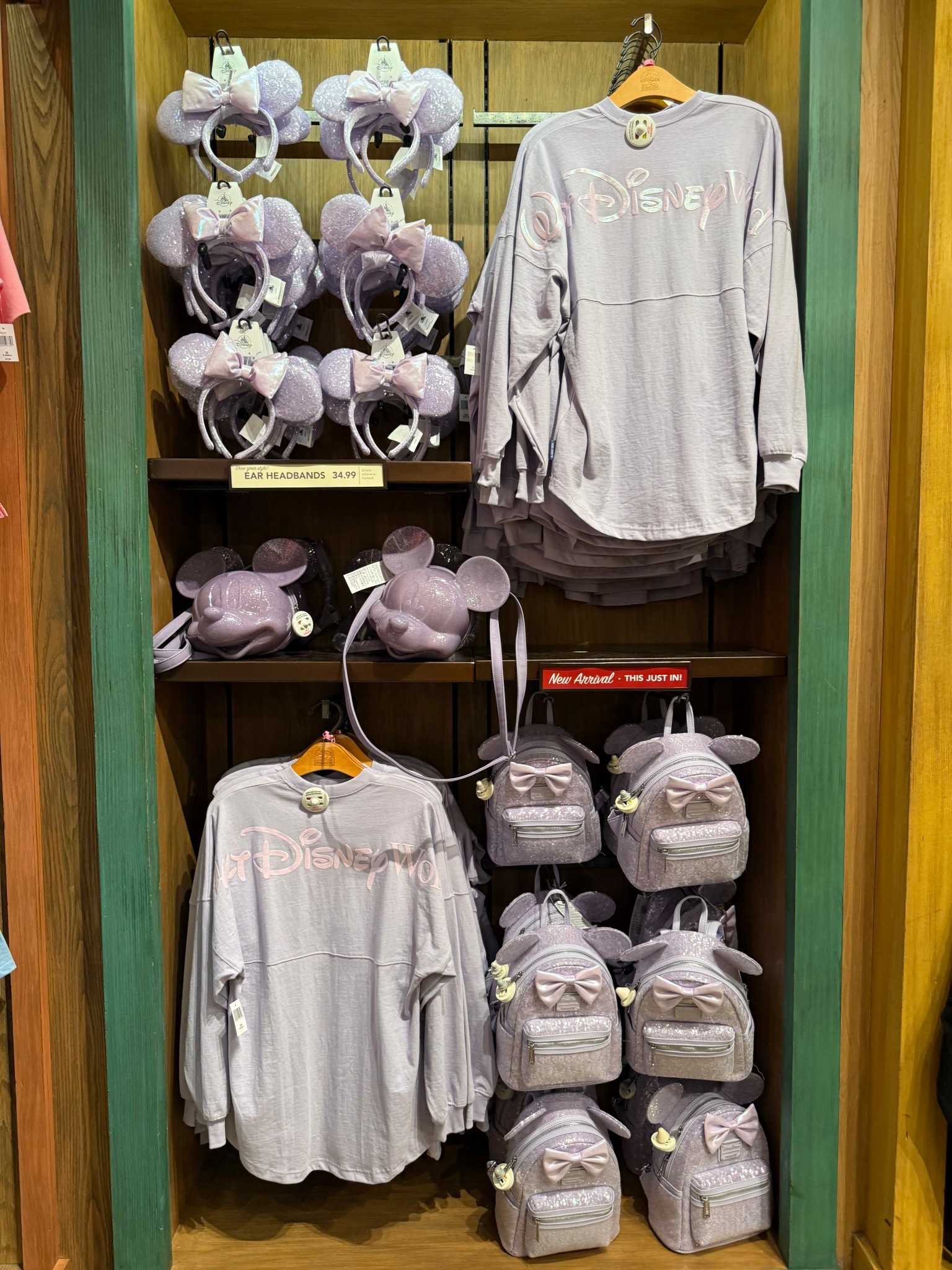 New collection just dropped! Picked up the ears this morning 💜