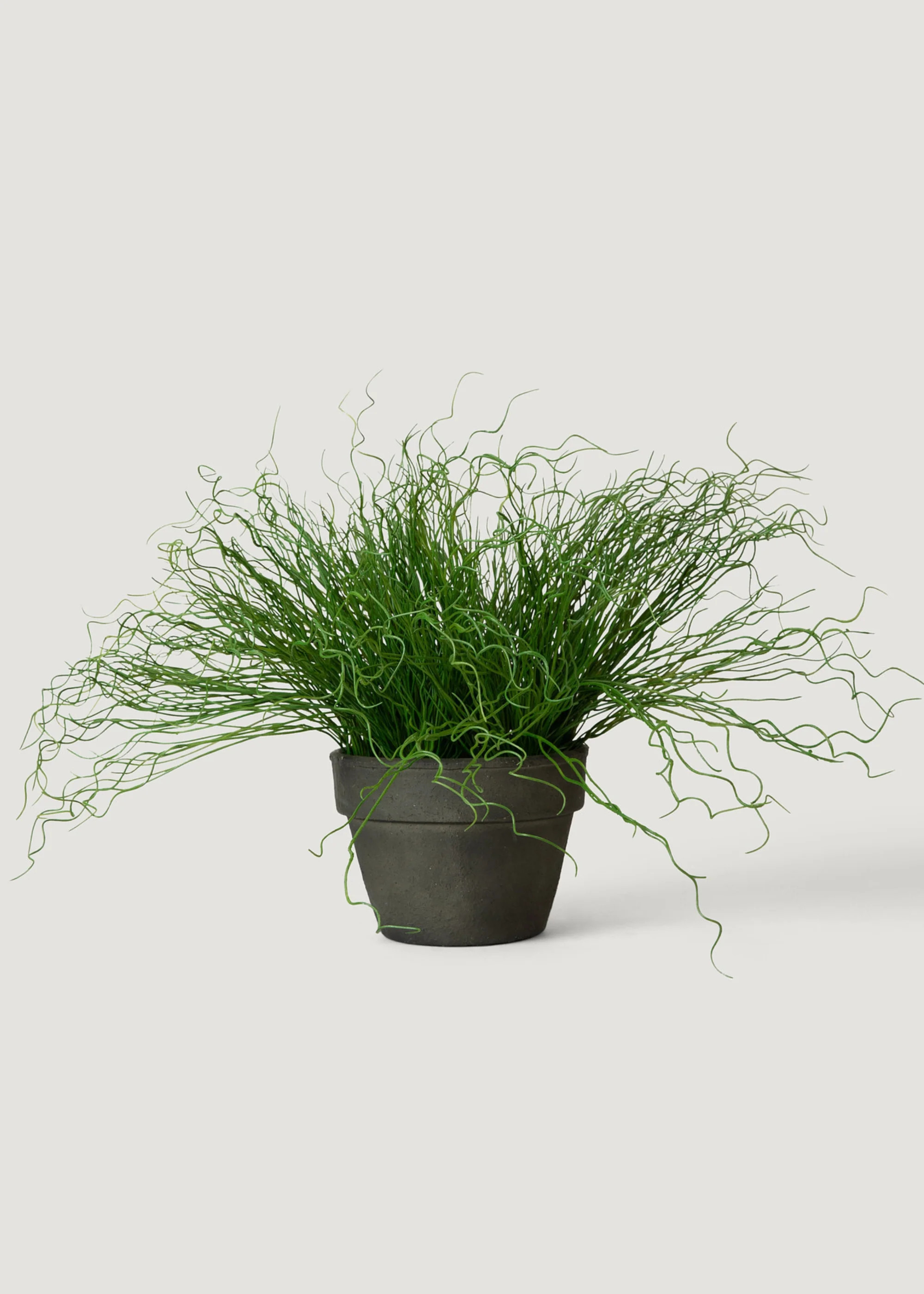 Artificial Potted Pencil Cactus Plant - 18.5" | Afloral