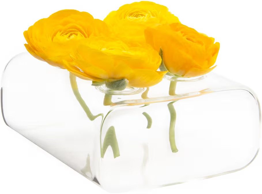 Chive ‘Hudson 2 Flute’ Flower Vase — Beautiful Small 4-Hole Multi-Chambered Clear Glass Bud... | Amazon (US)