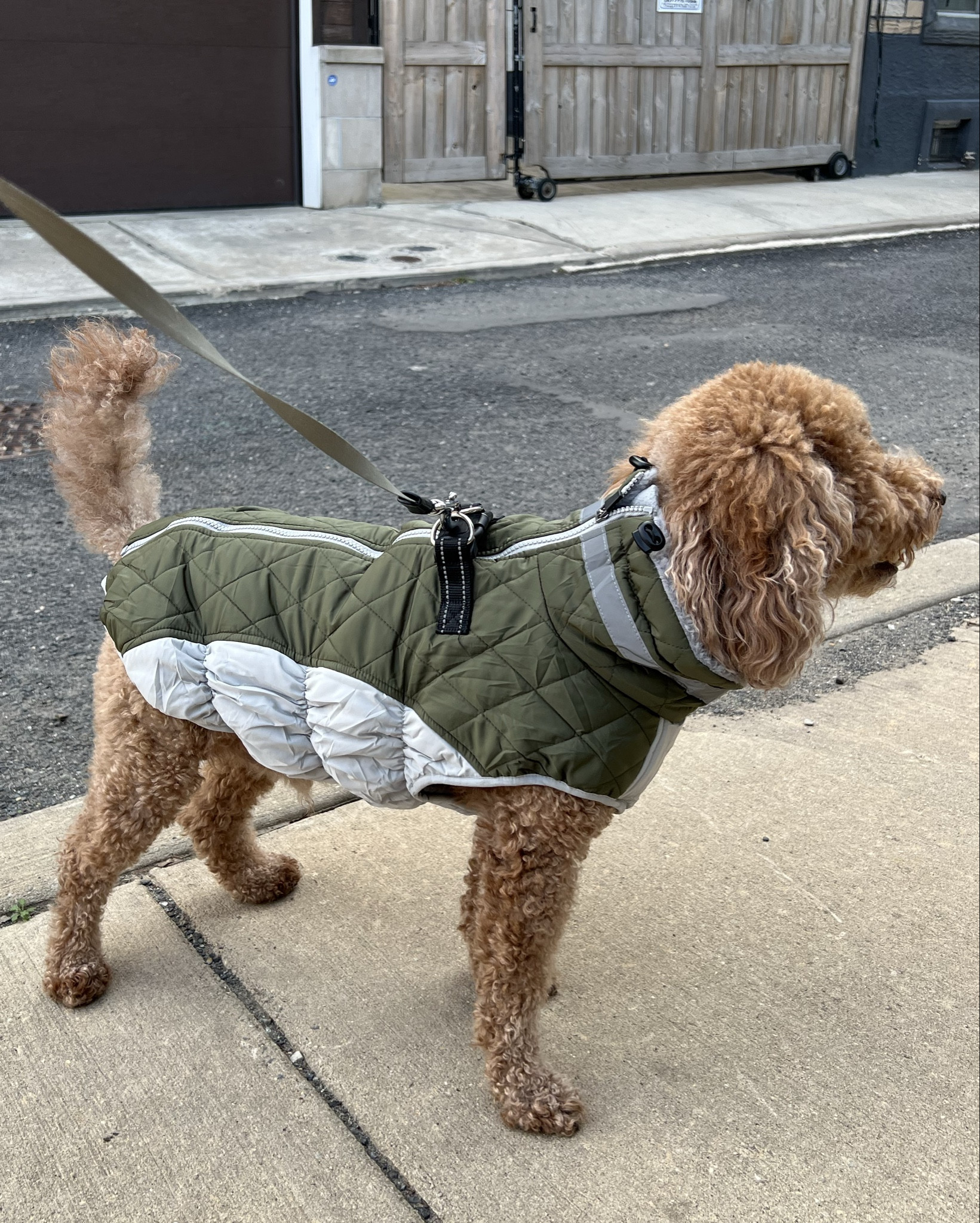Dog jacket, dog winter coat, dog sweater, Amazon dog must-haves

#LTKStyleTip #LTKmomlife #LTKPets