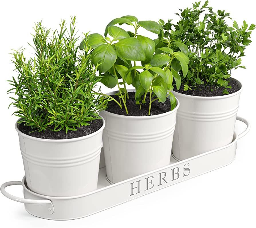 Barnyard Designs Farmhouse Herb Garden Planter Indoor Planter Set with Tray or Outdoor Apartment ... | Amazon (US)