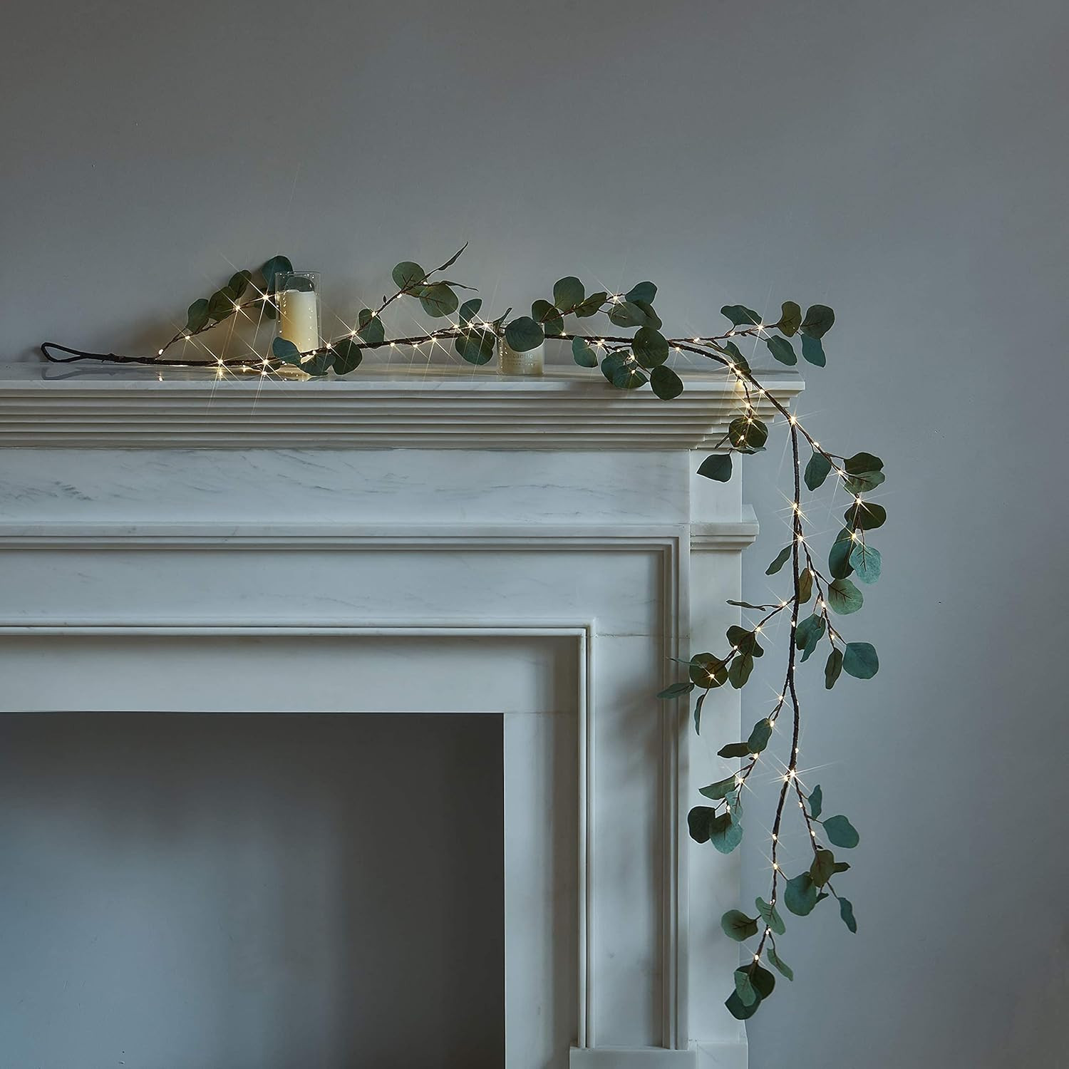 Birchlitland Decorative Garland Lights 6FT 96 LED Fairy Lights, Lighted Eucalyptus Twig Garlands ... | Amazon (US)