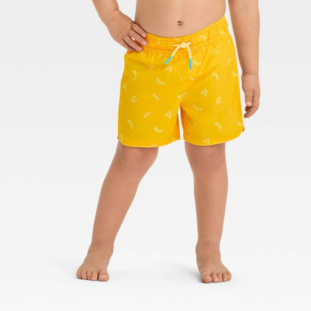 Toddler Boys' Dolphin Hem Swim Shorts - Cat & Jack™ | Target
