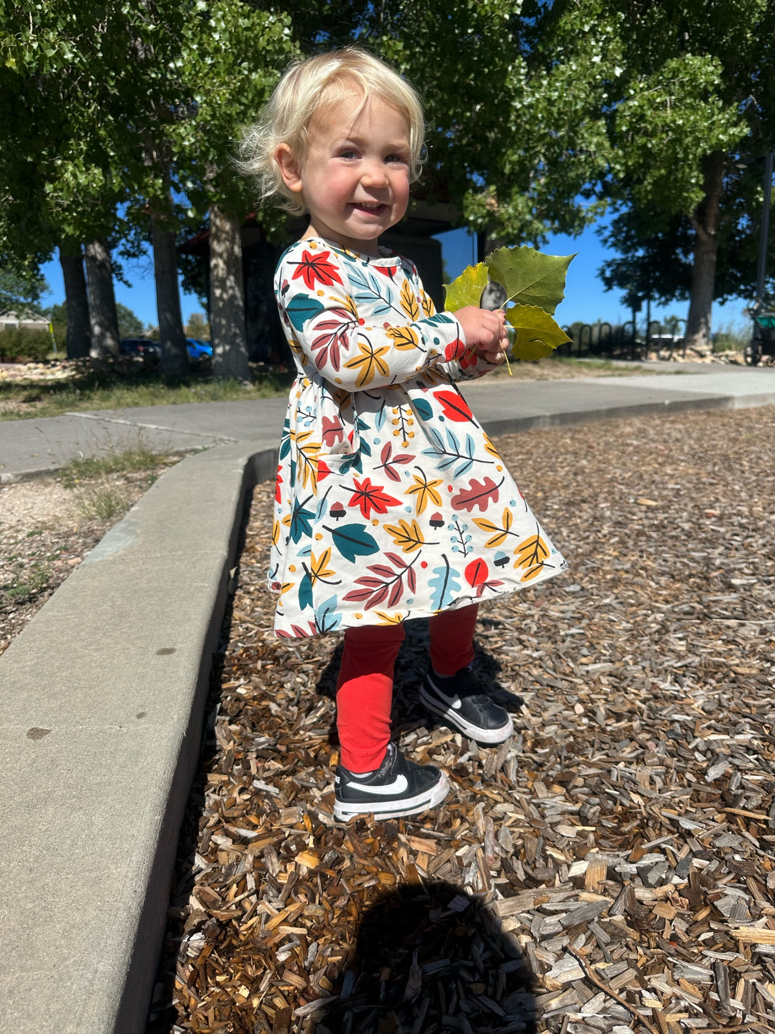 Toddler girl fall outfit. Toddler fall outfit. Hanna Anderson outfit. Toddler look. Toddler shoes. Toddler Nike shoes  

#LTKkids #LTKfamily #LTKshoecrush