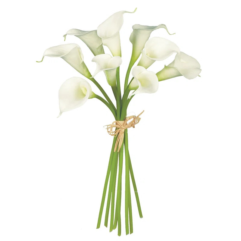 Calla Lily | Wayfair North America